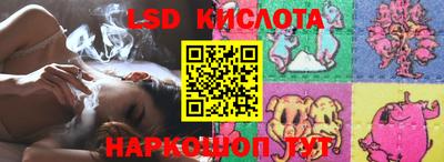 прущие грибы Краснокаменск