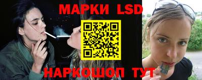 прущие грибы Краснокаменск