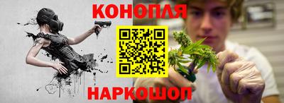 шишки Краснодар