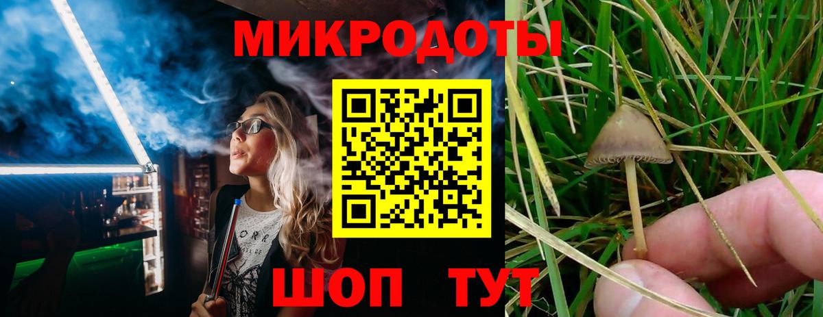 Псилоцибиновые грибы прущие грибы Тольятти