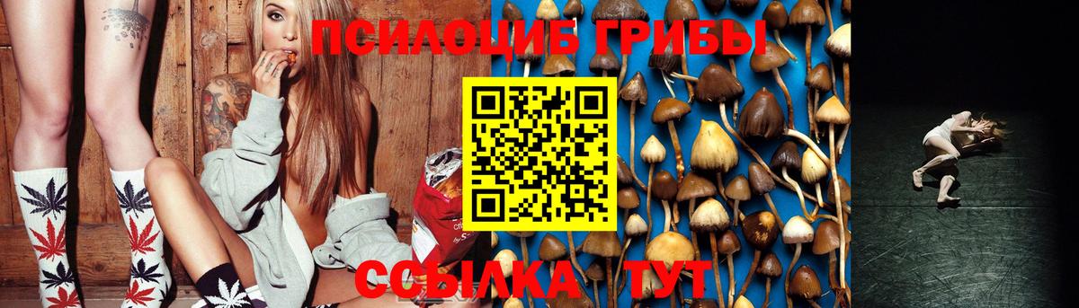 Галлюциногенные грибы MAGIC MUSHROOMS  Псилоцибиновые грибы GOLDEN TEACHER  Вход с VPN  Тольятти 